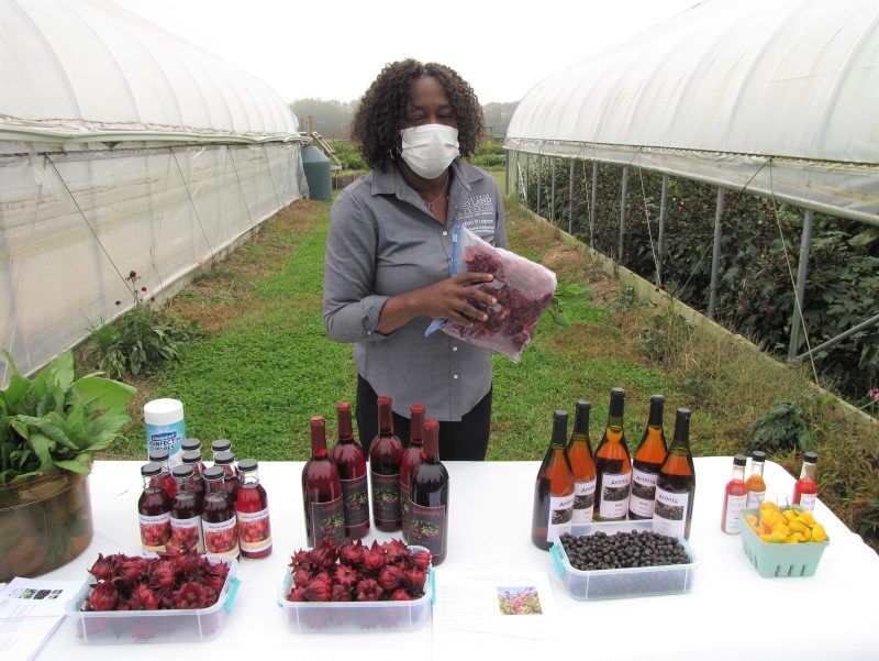 S-Short-Farm-Tour-1.jpg